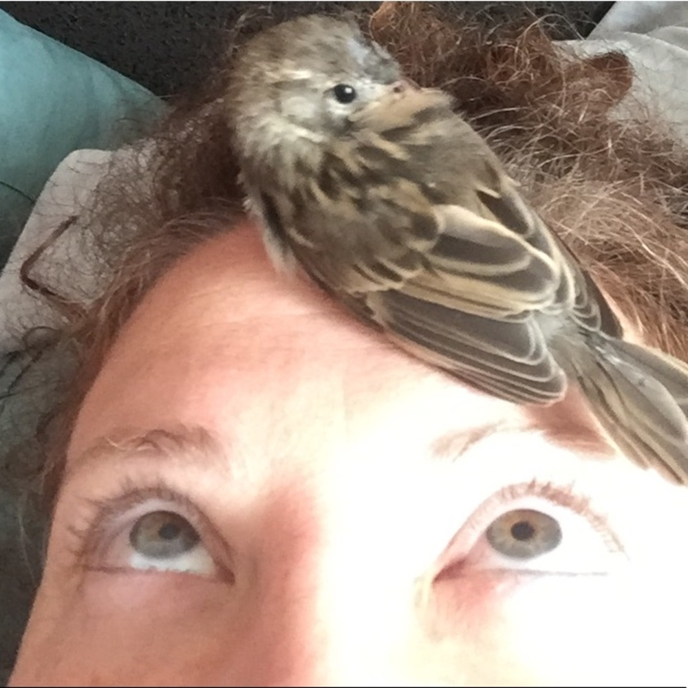 Meet your Posher, Andrea